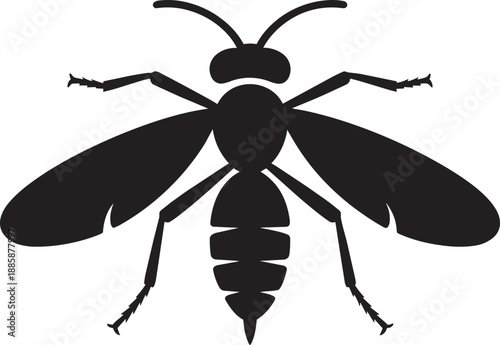 Wasp vector silhouette illustration, stinging insect with segmented body isolated on transparency