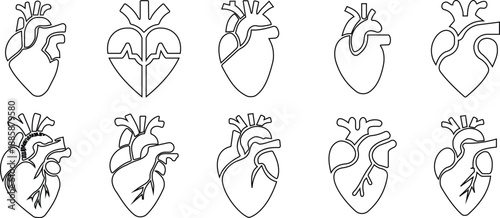 Human heart anatomy icon set with line styles, medical cardiology symbols, heartbeat ECG heart icons in black monochrome vector illustration collection