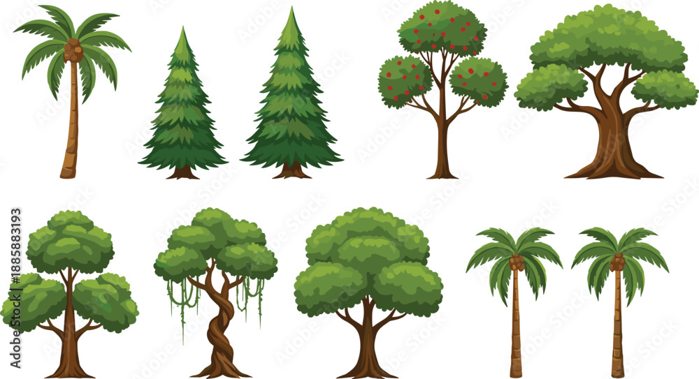 Fototapeta premium Tree Collection Nature Illustration Showing Palm Pine Fruit And Deciduous Trees Green Forest Botanical Vector Set