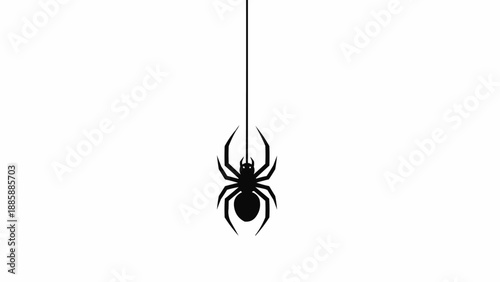 Canvastavla Black Spider Hanging from Thin Thread.