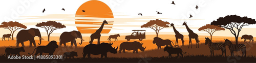 Savanna landscape silhouette vector with acacia trees and wild nature.