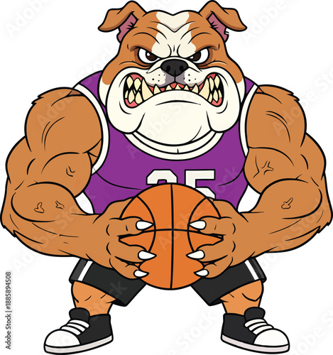 Aggressive muscular bulldog mascot character holding a basketball vector illustration isolated on white background.