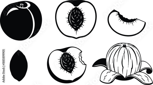 Flat design botanical peach fruit set showing whole half slice peeled peach with pit and bite close up top view minimal black and white vector