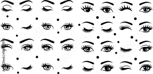 Collection of stylized female eye and eyebrow illustrations showcasing various expressions and lash styles