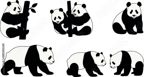 Collection of black and white panda illustrations