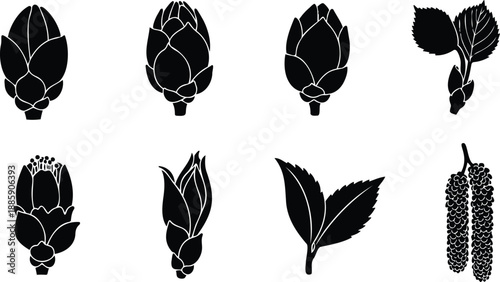 Minimalist vector hop cone and birch leaf icon set eight black silhouettes top view side view botanical elements for brewing and herbal design label sticker logo