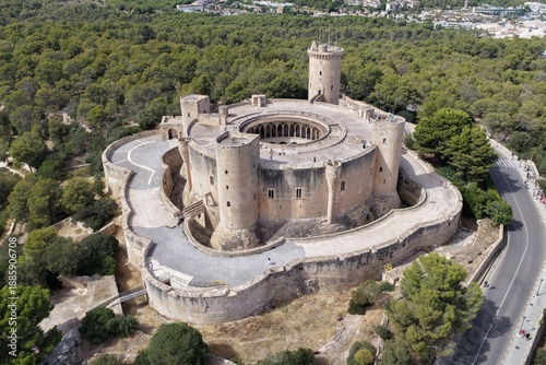 Castell de Bellver in the Wood