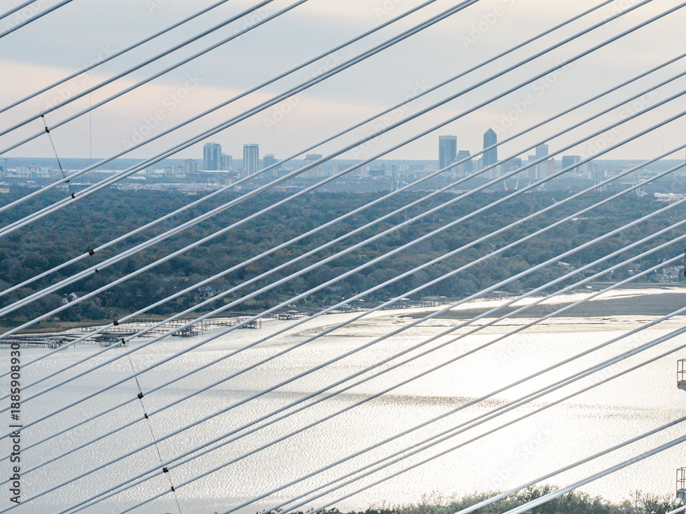 Obraz premium Dames point bridge, Jacksonville, Florida