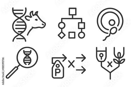 Genetic Breeding Icons. Line style icons of Selective Breeding Genetics: DNA strand with livestock icon, pedigree chart, trait