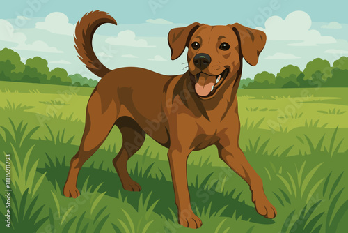 Energetic Dog in Field. Playful brown dog standing in a lush green field, captured vector illustration in natural light, energetic