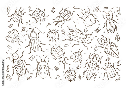 Insects hand drawn outline doodle background. Garden bugs drawing beetle clipart. Vector illustration.