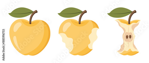 Juicy yellow apple eating steps icon set. Stages of an eaten apple, whole, bitten and core. Illustration.