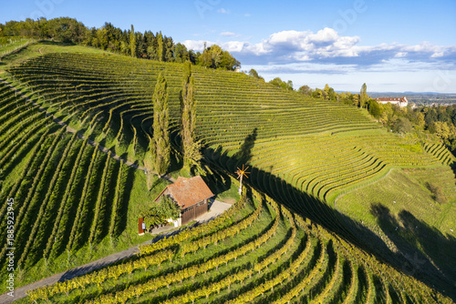 Aerial view of terraced vineyards cascade down the hillside, punctuated by a rustic building and tall trees, under a blue sky, Silberberg, Steiermark, Austria.