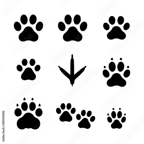 paw prints vector icon set on a white background Vector icon set