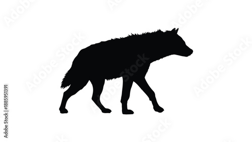 a striking black wolf walking gracefully against a stark white background silhouette
