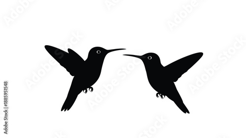 two hummingbird silhouettes facing each other against a stark white background
