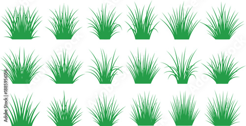 Collection of green potted plants Vector