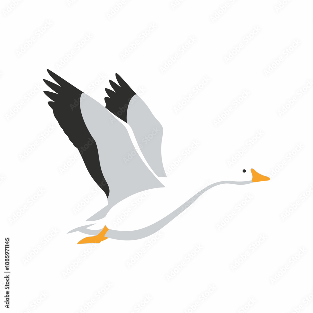 Obraz premium Illustration of a stylized white bird flying with black wing tips.