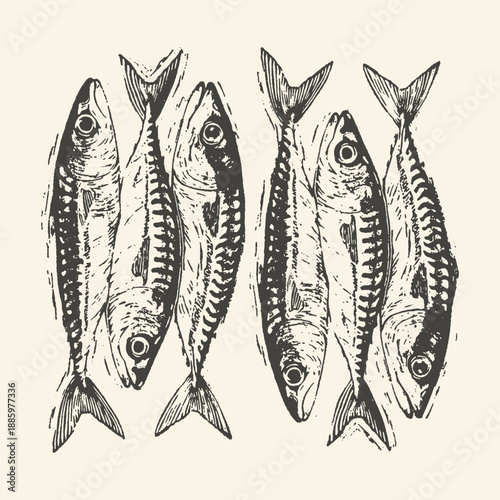 Linocut illustration of six fresh mackerel fish arranged in two rows, rendered in a rustic black and white style on a cream background, evoking a vintage seafood market or artisanal food theme.