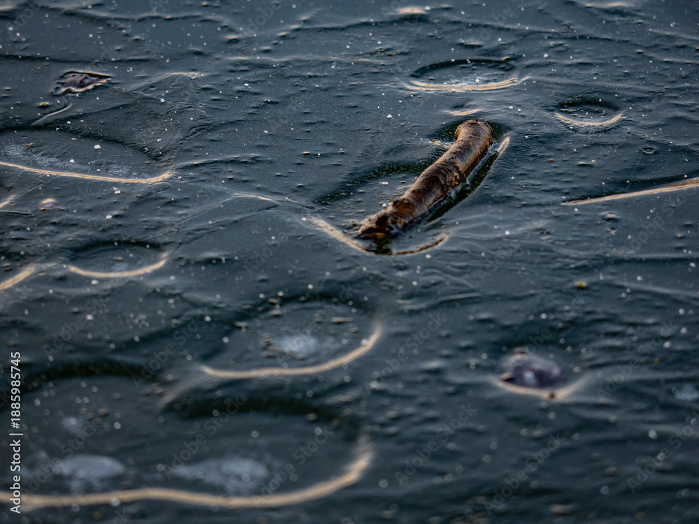 Naklejka premium Eisfläche eines zugefrorenen Sees im Winter