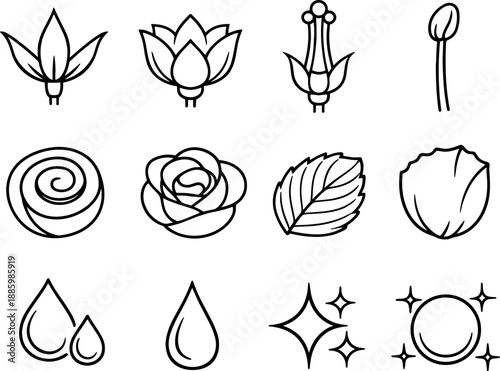 Line style icons of rose details: sepal, calyx, pistil, stamen; spiral, layers, texture, edge; dew, drop, shine,