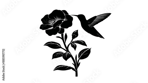 A black and white illustration of a hummingbird approaching a flower on a stem with leaves