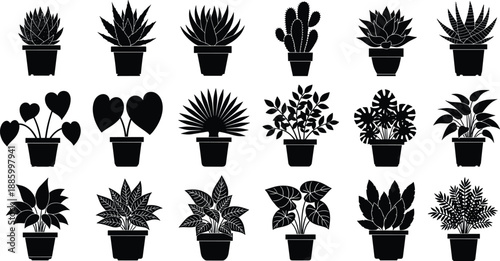 Set of Potted Plant Silhouettes, Black Vector Indoor Houseplants with Leaves, Succulents and Cactus Isolated on White Background for Home Decor