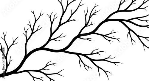 Black silhouette of bare tree branches against white background.