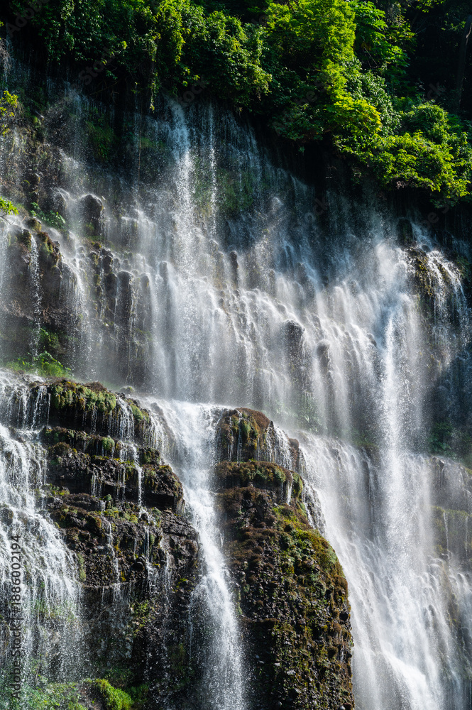 Naklejka premium waterfall in the forest