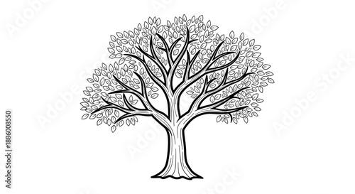 Detailed Black and White Illustration of a Majestic Tree.
