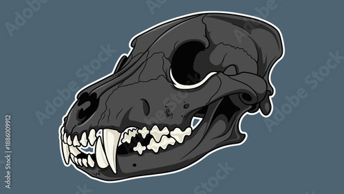 Detailed illustration of a canine skull with sharp teeth and eye sockets.