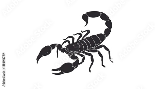 Silhouette of a scorpion with curved tail and pincer claws, on a white backdrop