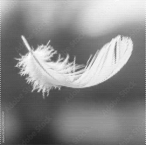 Retro soft fluffy feather floating illustration for beauty and comfort branding