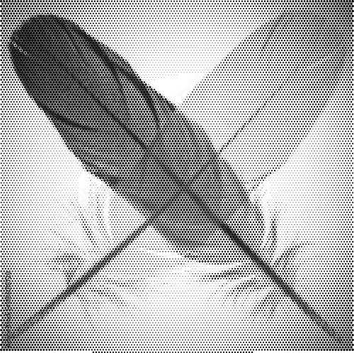 Retro crossed bird feathers illustration for heritage and creative writing branding