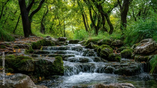 Serene Forest Stream Flowing Over Mossy Rocks in a Lush Green Landscape Surrounded by Trees in a Peaceful Nature Setting