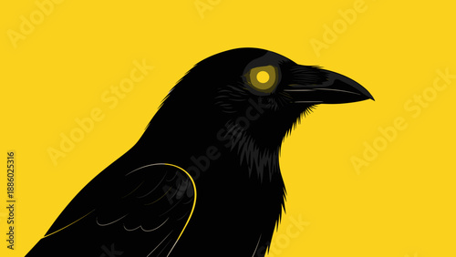 Mysterious Black Crow with Glowing Yellow Eyes.