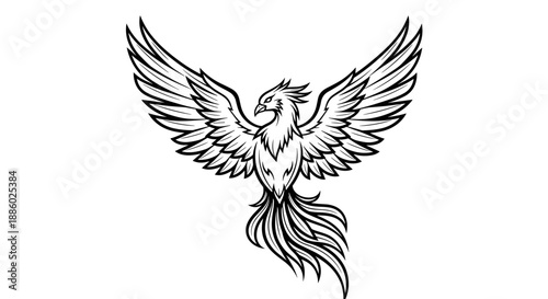 Mythical Phoenix Bird Illustration with Outstretched Wings.