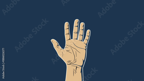 Open Hand Raised Upward Against Dark Blue Background.