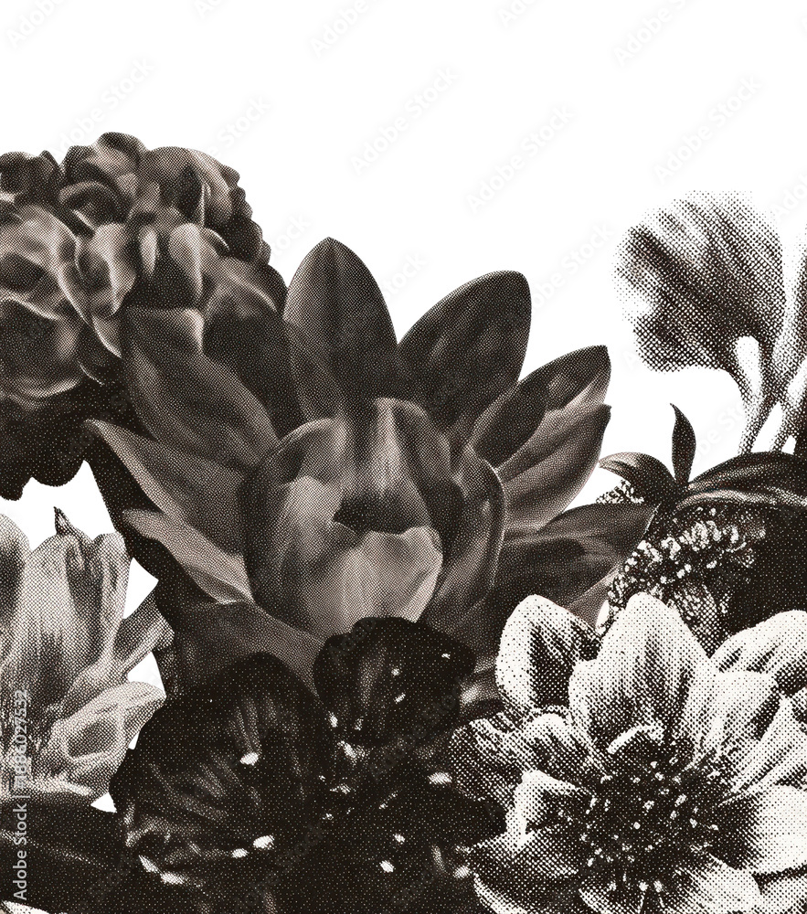 Obraz premium PNG Monochrome floral elegance captured beautifully.