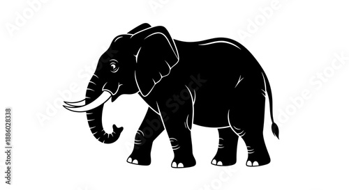 Silhouette of a majestic African elephant walking gracefully.