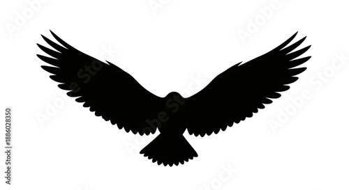 Silhouette of a majestic eagle in flight 1.