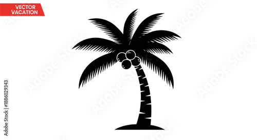 Silhouette of a Tropical Coconut Palm Tree with Coconuts.