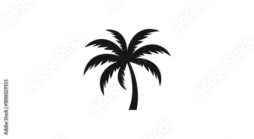 Silhouette of a Tropical Palm Tree 1.