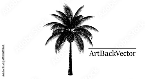 Silhouette of a Tall Palm Tree with Detailed Fronds.