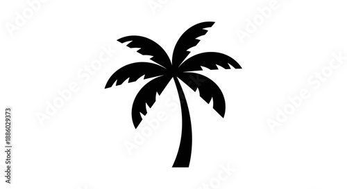 Silhouette of a Tropical Palm Tree 5.