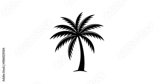 Silhouette of a Tropical Palm Tree 3.