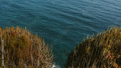 Vista desde el acantilado