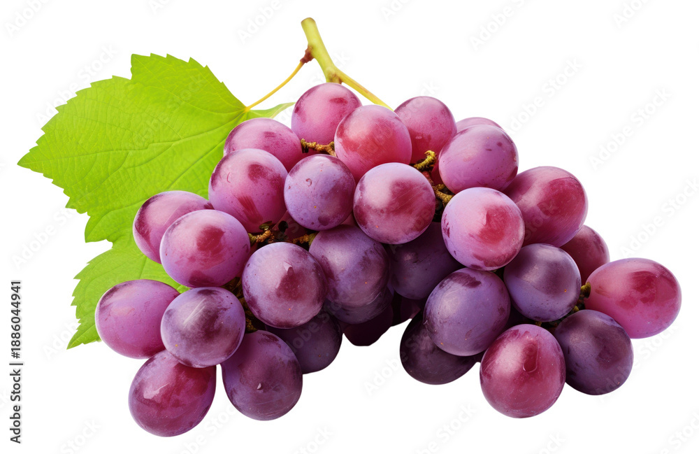 Obraz premium PNG Grapes fruit plant food.