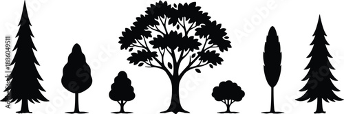 Black tree silhouettes set with evergreen and deciduous shapes, forest landscape elements isolated on white background for nature and design projects