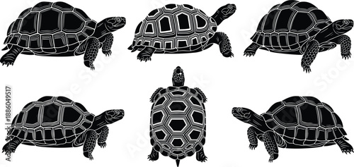 Black turtle silhouette set, tortoise vector collection, reptile wildlife illustration, marine and land turtle icons, minimalist animal design for branding